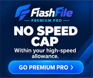 FlashFile Premium Pro：免下載等待，高級流量額度內不限速